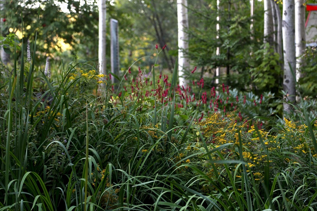 LES JARDINS DE SAINT-ÉLYSÉE DE BERSIMIS - Page 6 Bersi322