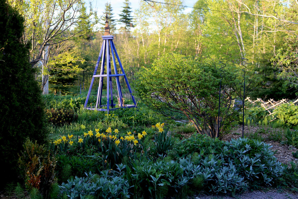 LES JARDINS DE ST-ÉLYSÉE DE BERSIMIS - SAISON 2020 - Page 2 Bersi367