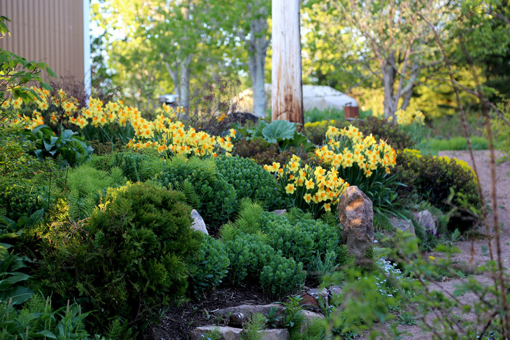 LES JARDINS DE ST-ÉLYSÉE DE BERSIMIS - SAISON 2021 Bersi371