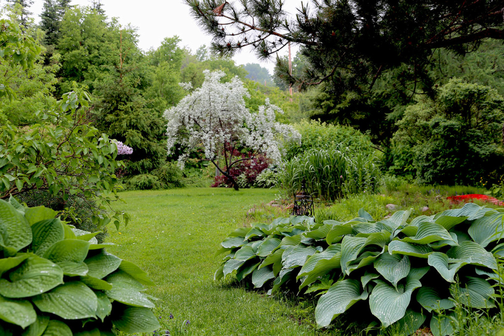 LES JARDINS DE ST-ÉLYSÉE DE BERSIMIS - SAISON 2020 - Page 3 Bersi447