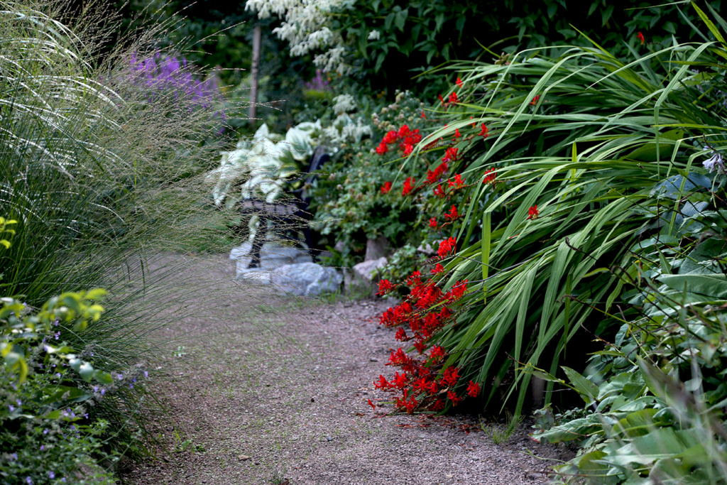 LES JARDINS DE ST-ÉLYSÉE DE BERSIMIS - SAISON 2020 - Page 6 Bersi659