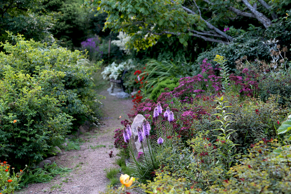 LES JARDINS DE ST-ÉLYSÉE DE BERSIMIS - SAISON 2020 - Page 6 Bersi664