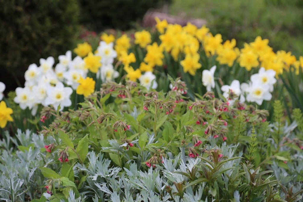 LES JARDINS DE SAINT-ÉLYSÉE DE BERSIMIS Bersim10