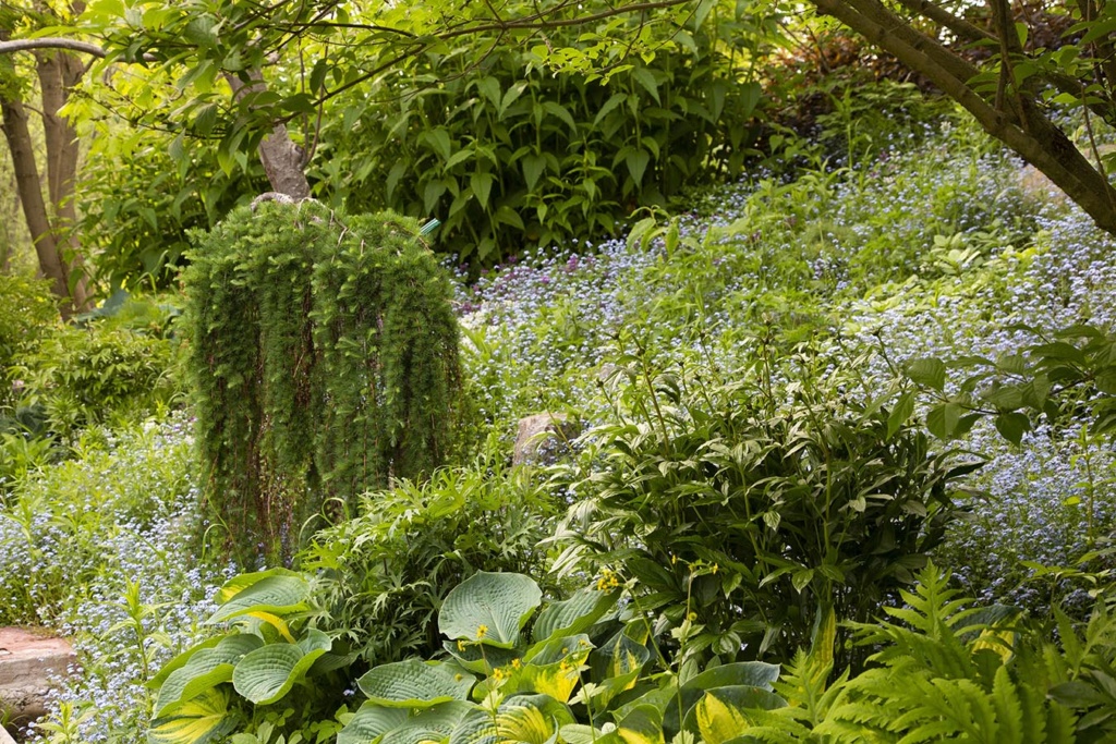 LES JARDINS DE ST-ÉLYSÉE DE BERSIMIS - SAISON 2020 Bersim40