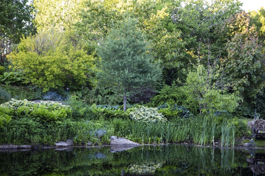 LES JARDINS DE ST-ÉLYSÉE DE BERSIMIS - SAISON 2020 Bersim70