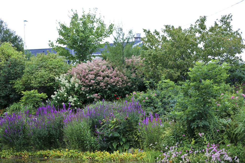 LES JARDINS DE SAINT-ÉLYSÉE DE BERSIMIS - Page 2 F2476010