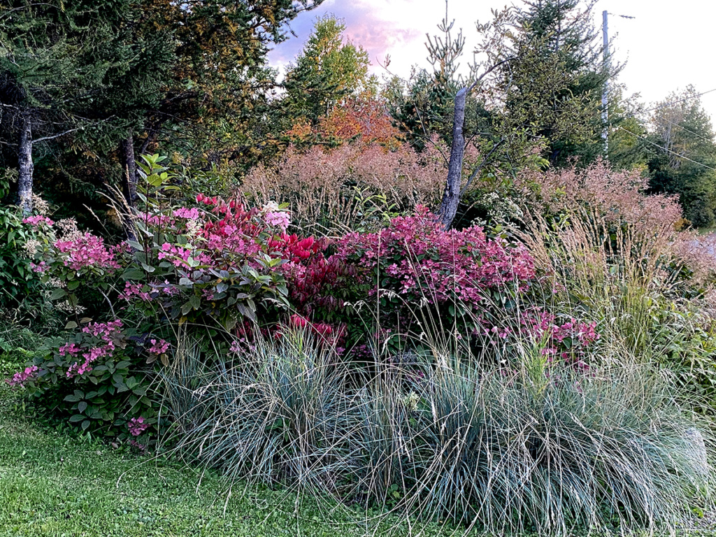 LES JARDINS DE ST-ÉLYSÉE DE BERSIMIS - SAISON 2020 - Page 6 Image020