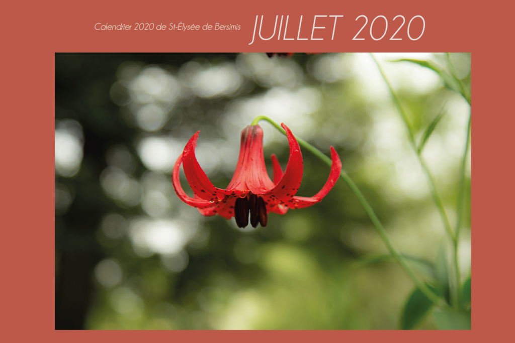 Calendrier 2020 - Page 4 Juille10