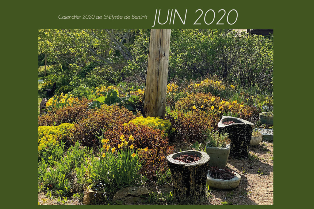 Calendrier 2020 - Page 4 Juin10