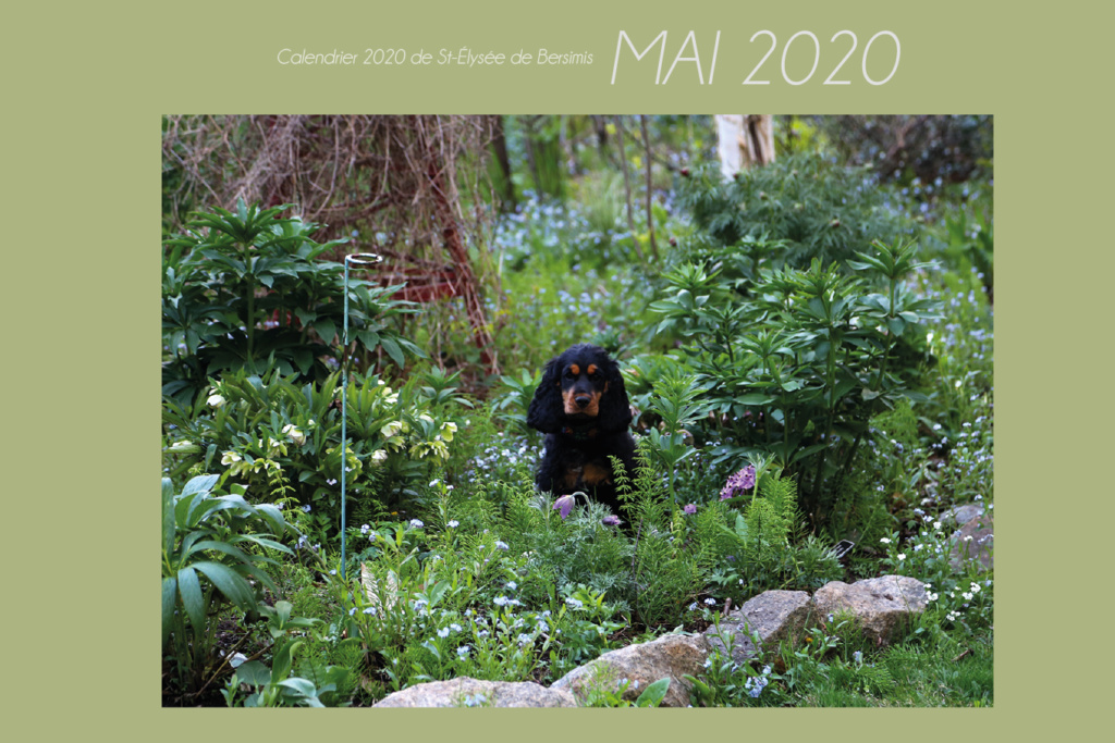 Calendrier 2020 - Page 4 Mai10