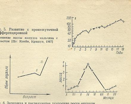 Nivelele Critice din Procesele de Dezvoltare ale Sistemelor Biologice (A. V. Jirmunskiǐ, V. I. Kuzǐmin) F_5_6_11