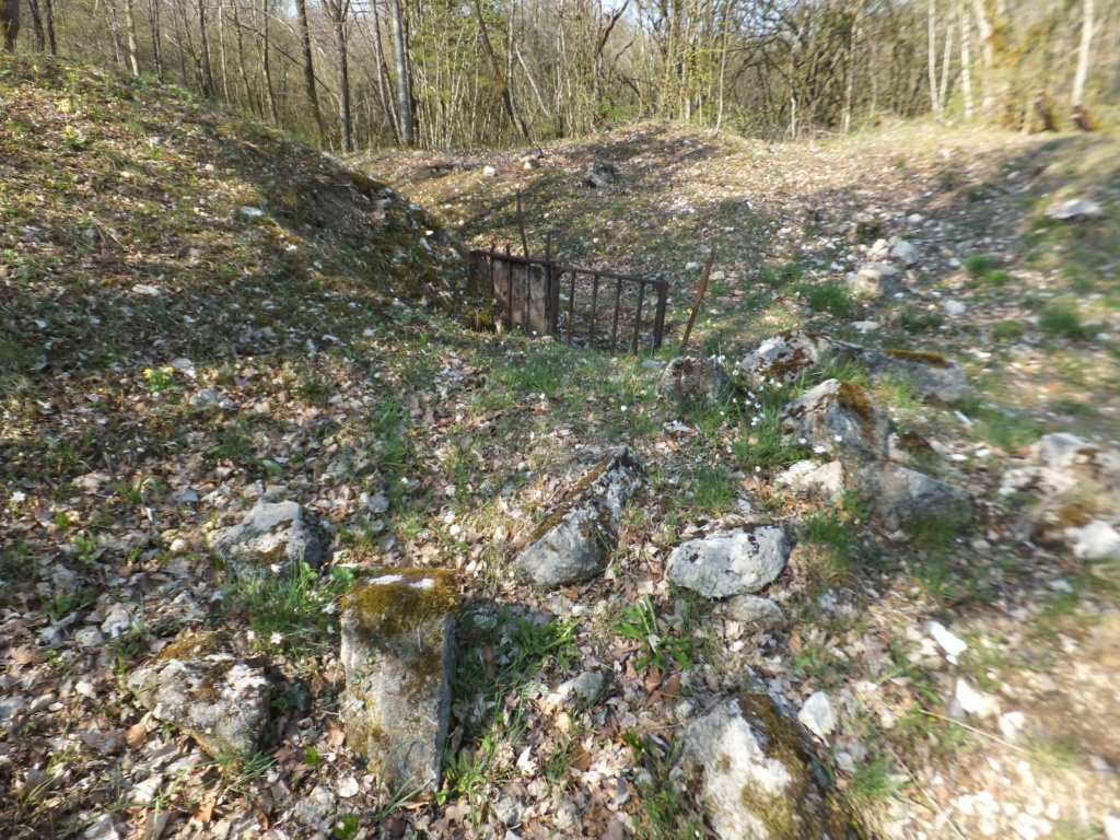 De l'étang de Vaux à Bezonvaux Dscf0630