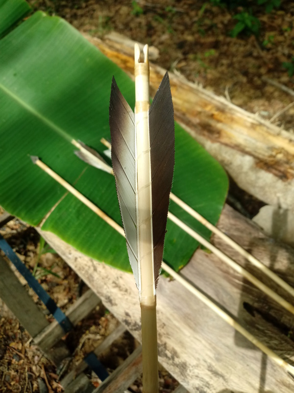 Flechas para arco de 24" de apertura en bambú. 20161213