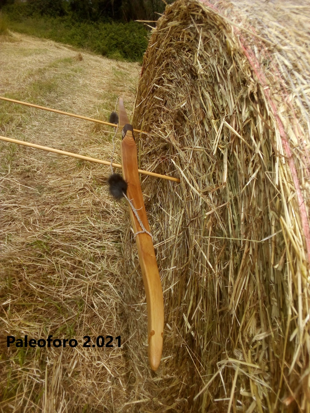 Arco de falsa acacia de 160 cm. Img_2208