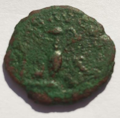 Antoniniano de Tétrico II. PIETAS AVGVSTOR. Instrumentos de sacrificio. Colonia Captur81
