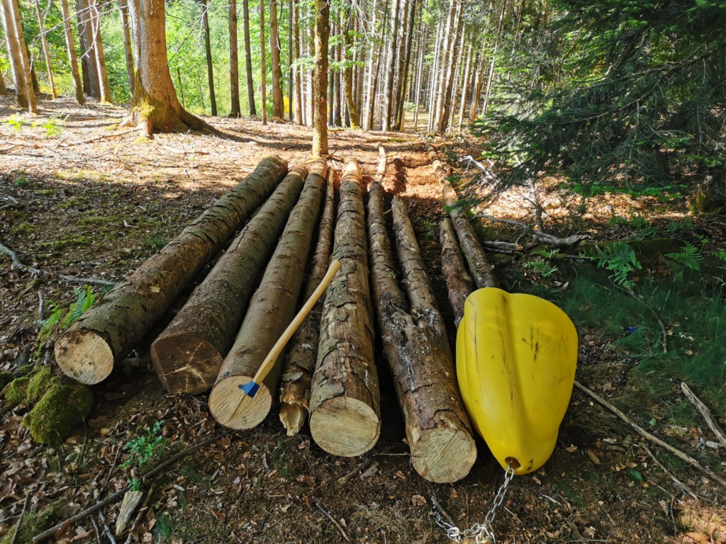 Débardage au treuil portable, outillage en foret et scierie mobile Img_2077