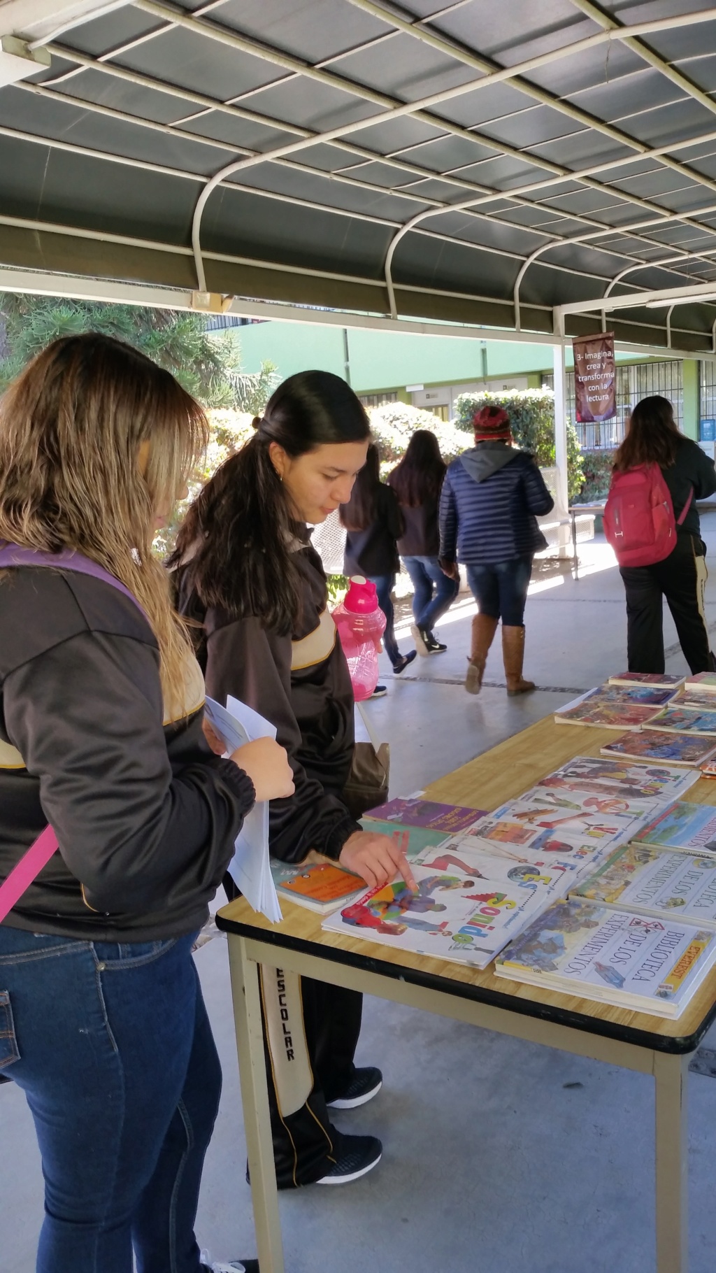 12 estrategias para las bibliotecas de las escuela normales. 20190311