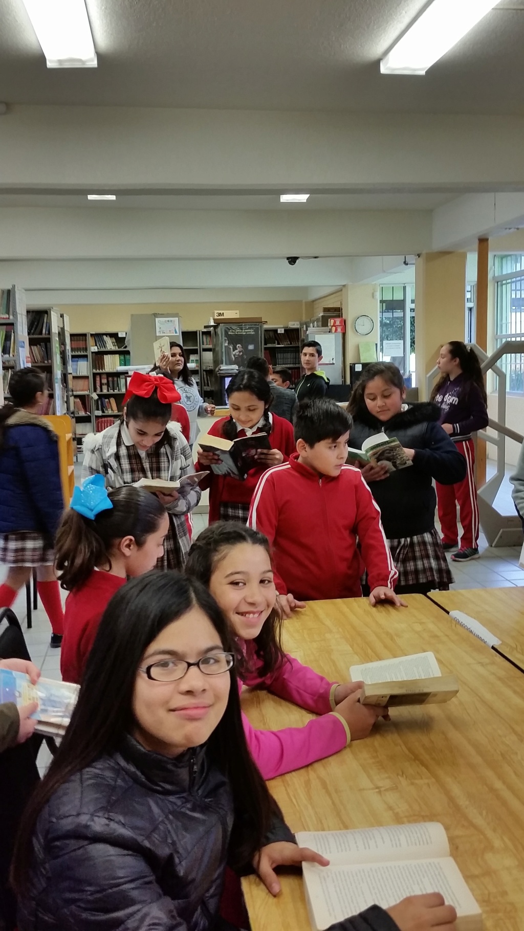 12 estrategias para las bibliotecas de las escuela normales. 20190314