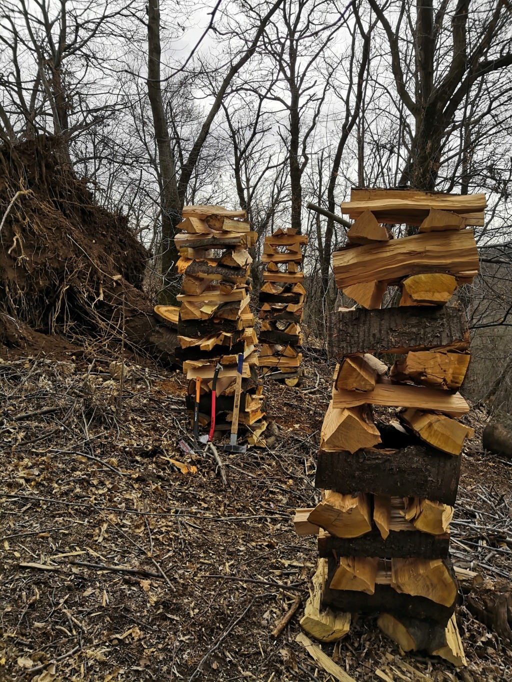 Accatastamento e stagionatura legna da ardere - parte 2 - Pagina 7 Img_2027