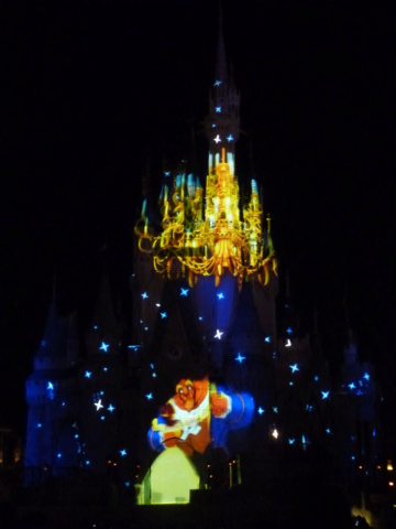 2019 - Une lune de miel magique à Walt Disney World - Aout 2019 - Page 5 P1180710