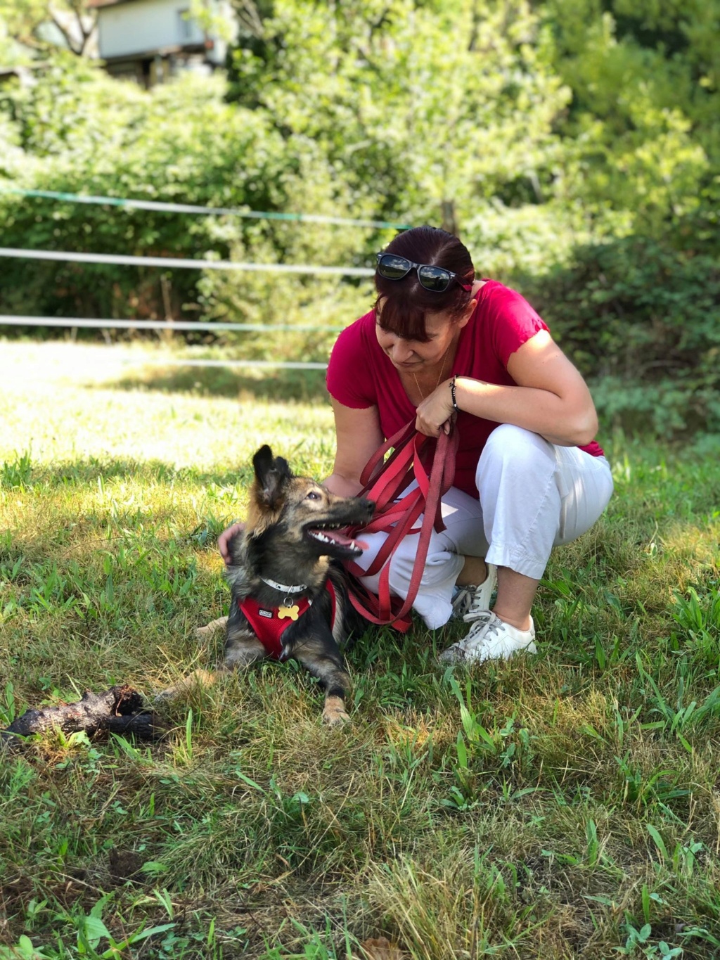 Lalena- femelle- refuge d'Arad - adoptée par sa FA 67689210