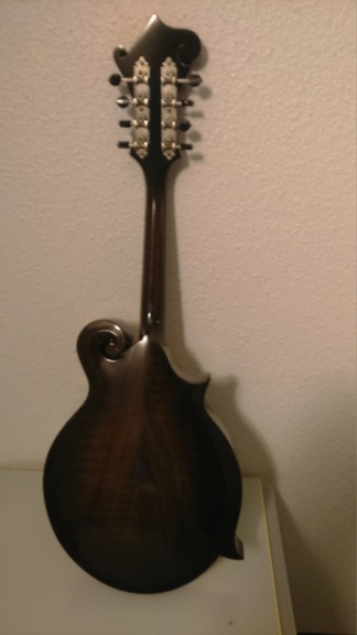 Octave mandoline Northfield Dsc_0011
