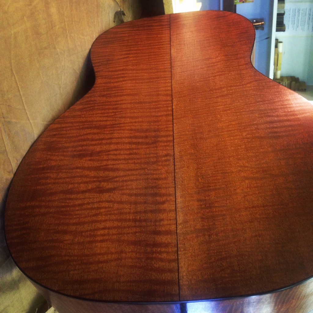 fiddleback mahogany Img_0312