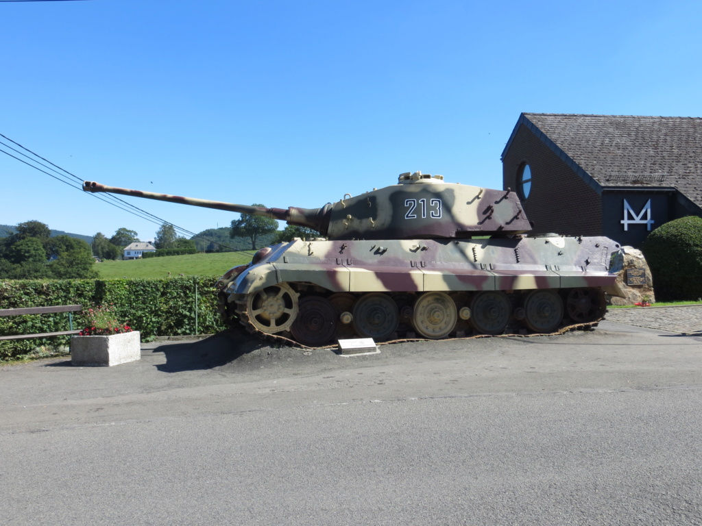 tigre royal 213 dans les Ardennes Img_7321