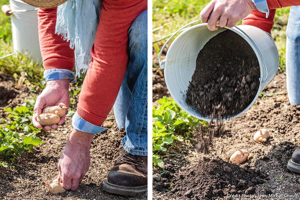 Quatre façons de planter des pommes de terre 0000_038
