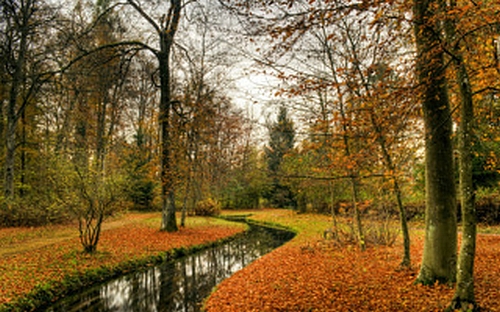 Un paysage d'automne 000_0256