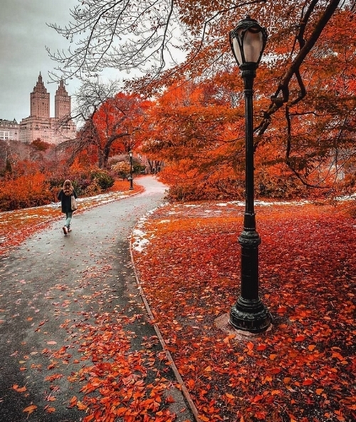 Un paysage d'automne 000_0442