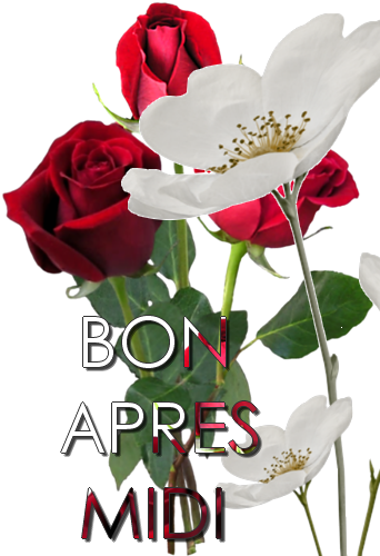 Bonjour...Bonsoir de Mars - Page 4 Bon_ap30