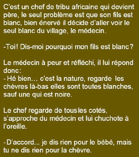 Un peu d'humour - Page 7 Bzobzo11