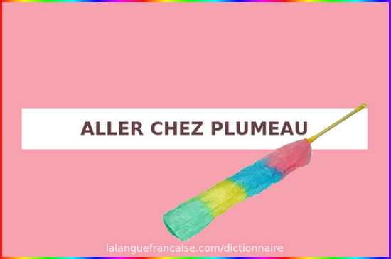 Pourquoi dit-on ''aller chez plumeau'' ? Gfhnf10