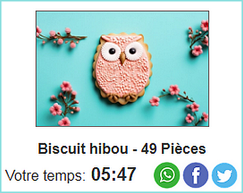 Le Puzzle du Jour En Ligne - Page 4 Hibouu10