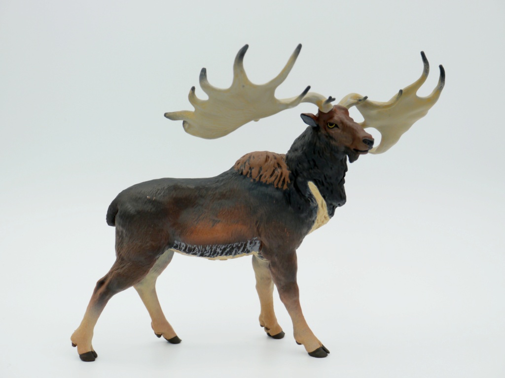 papo -  The STS 2020 Animal figure of the year - Papo Megaloceros ! 4_mega10