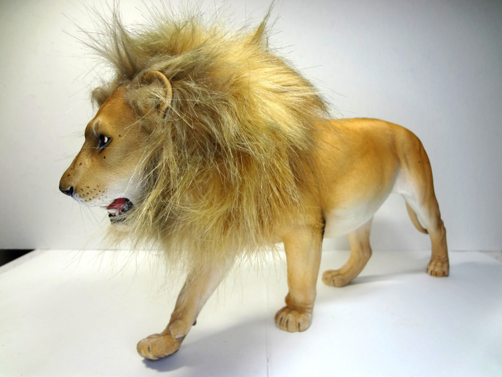 NEW PRODUCT: JXK studio: 1/6 Lion 2.0 - Page 2 Dsc03221