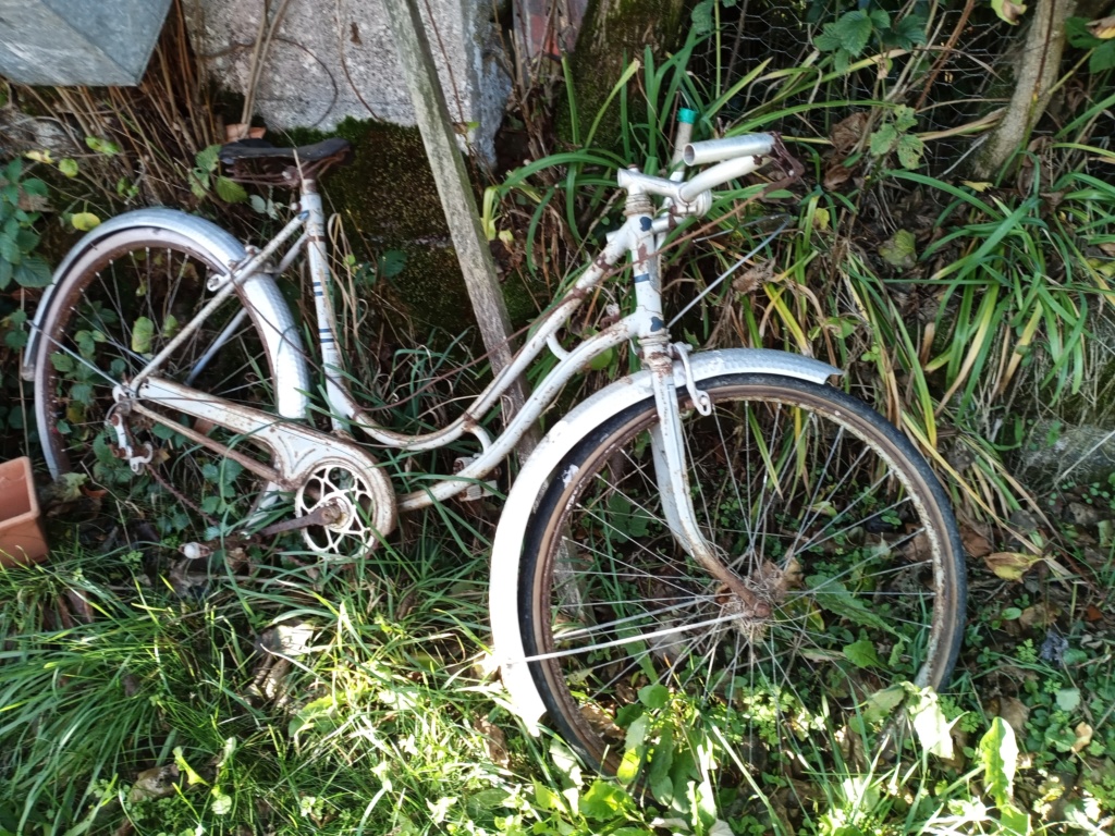 col de cygne DAVY Luxe 1939  01054