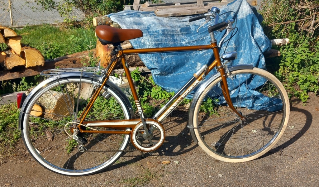 Motobecane  ZH3 1978 homme bronze 20230956