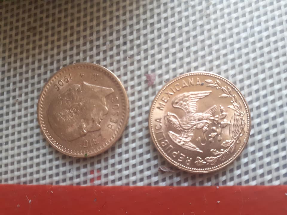diez pesos  mexicanos de oro ayuda a saber  18653210