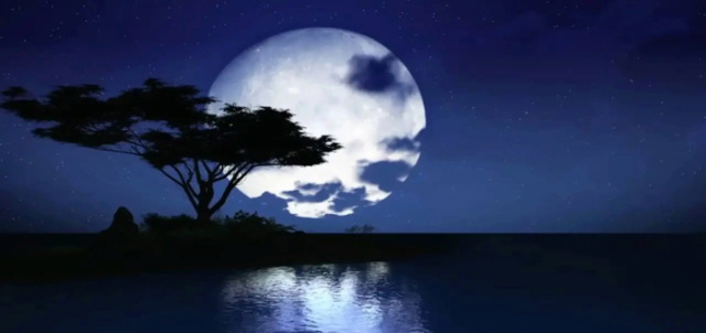 لماذا يظهر القمر مضيئا في الليل 9-9311