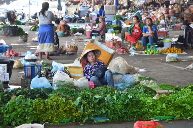 Carnet 3 semaines au LAOS en février 2023 12111