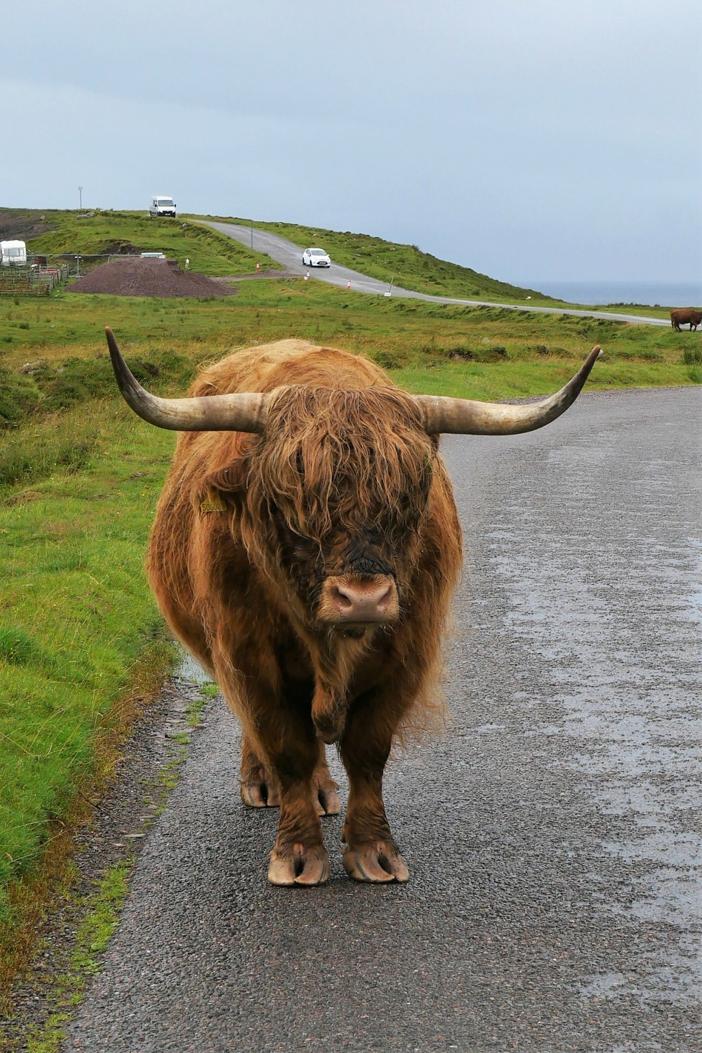 Carnet de voyage roadtrip au nord de l'Ecosse: boucle autour d'Edimbourg 1213