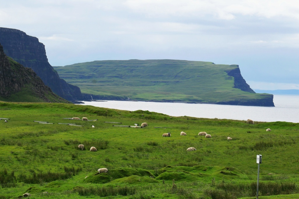 Carnet de voyage roadtrip au nord de l'Ecosse: boucle autour d'Edimbourg 1514