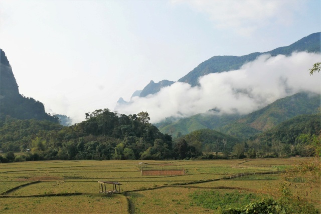 Carnet 3 semaines au LAOS en février 2023 3610