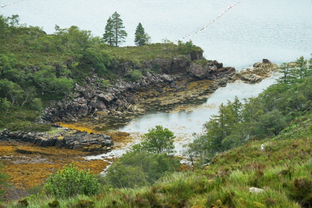 Carnet de voyage roadtrip au nord de l'Ecosse: boucle autour d'Edimbourg 912