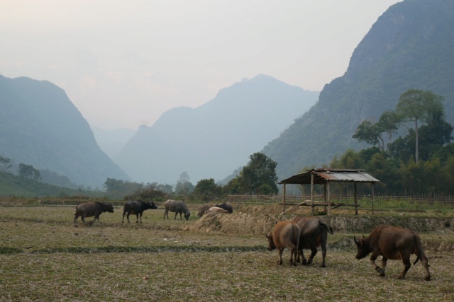 Carnet 3 semaines au LAOS en février 2023 P1070915