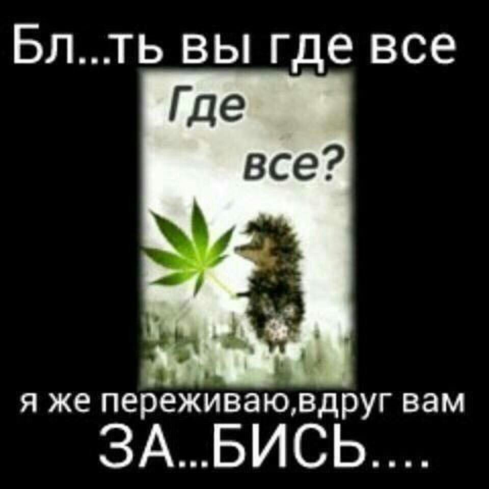 Группа Вы Где Картинки Смешные