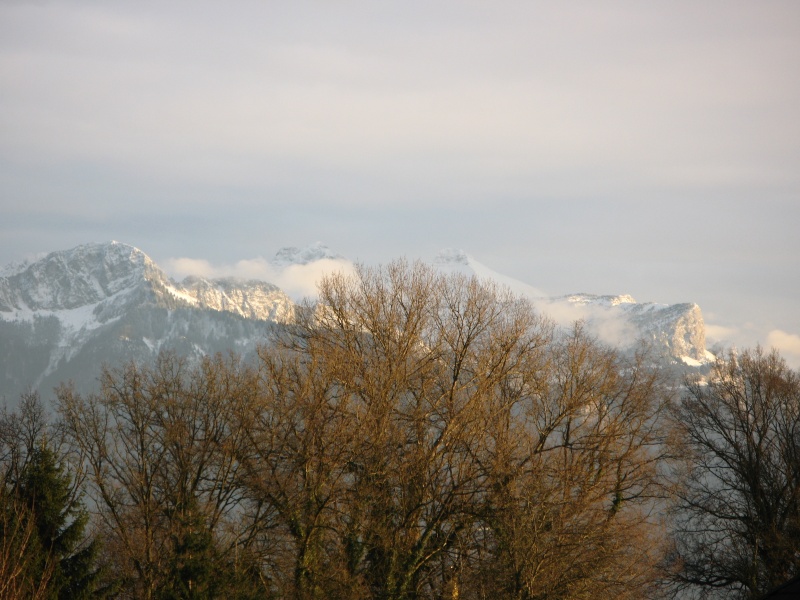 Plaine du Mont-Blanc Haute-Savoie Maison24