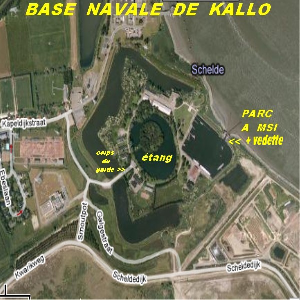 LA BASE DE KALLO Kallo-10
